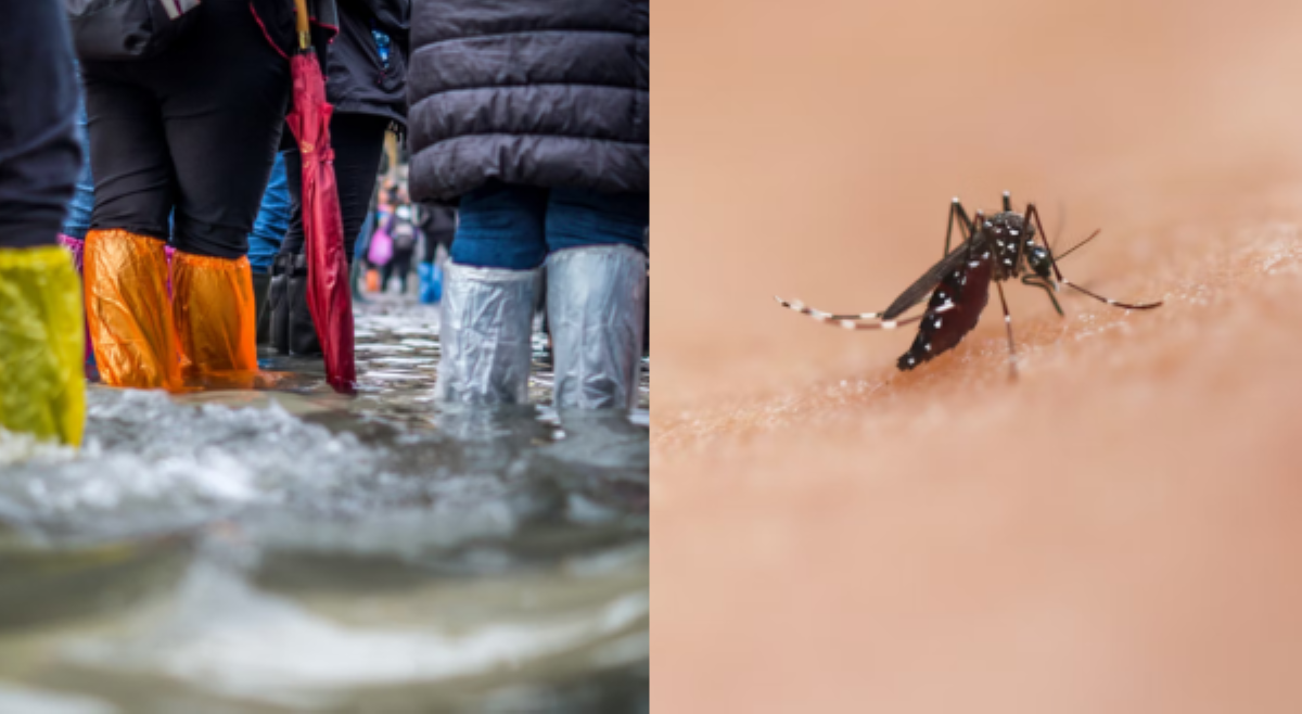 Kaso ng leptospirosis, bumaba; dengue, mahigpit na binabantayan