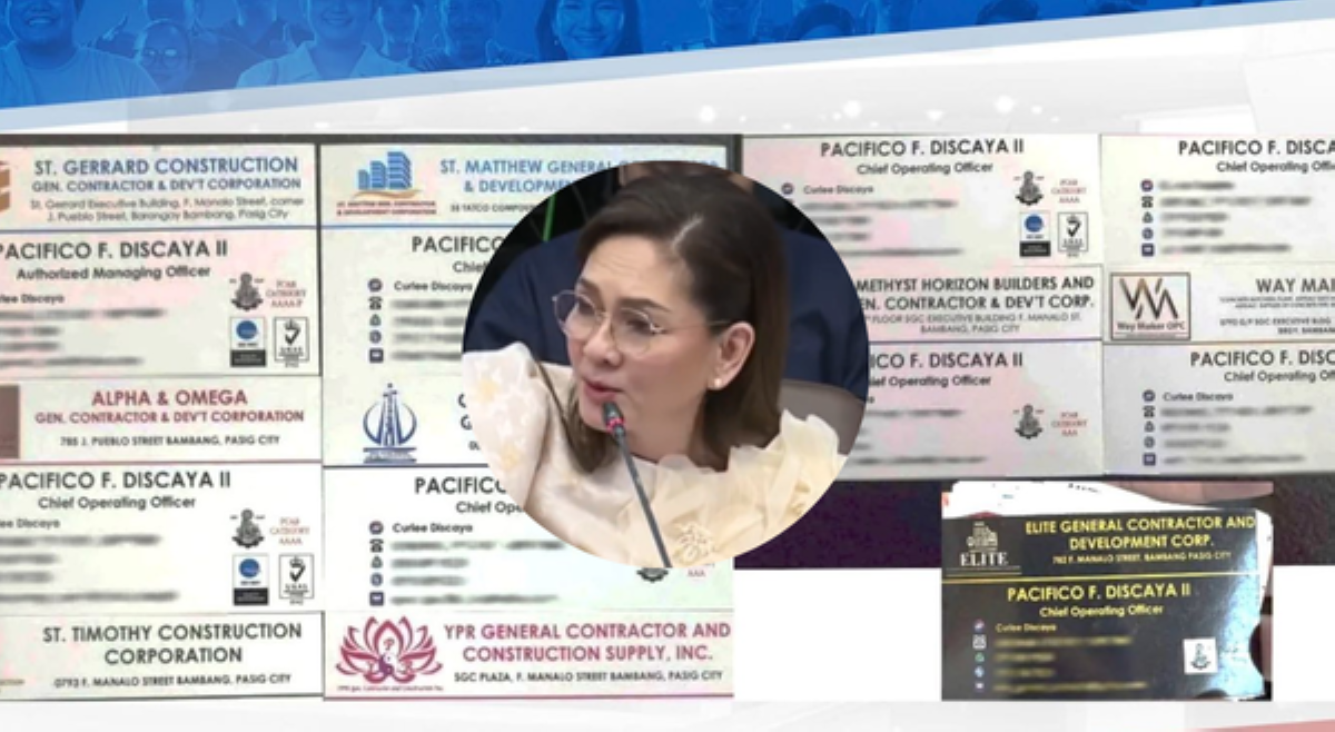  9 na umano'y construction firm ng mga Discaya, isiniwalat ni Hontiveros