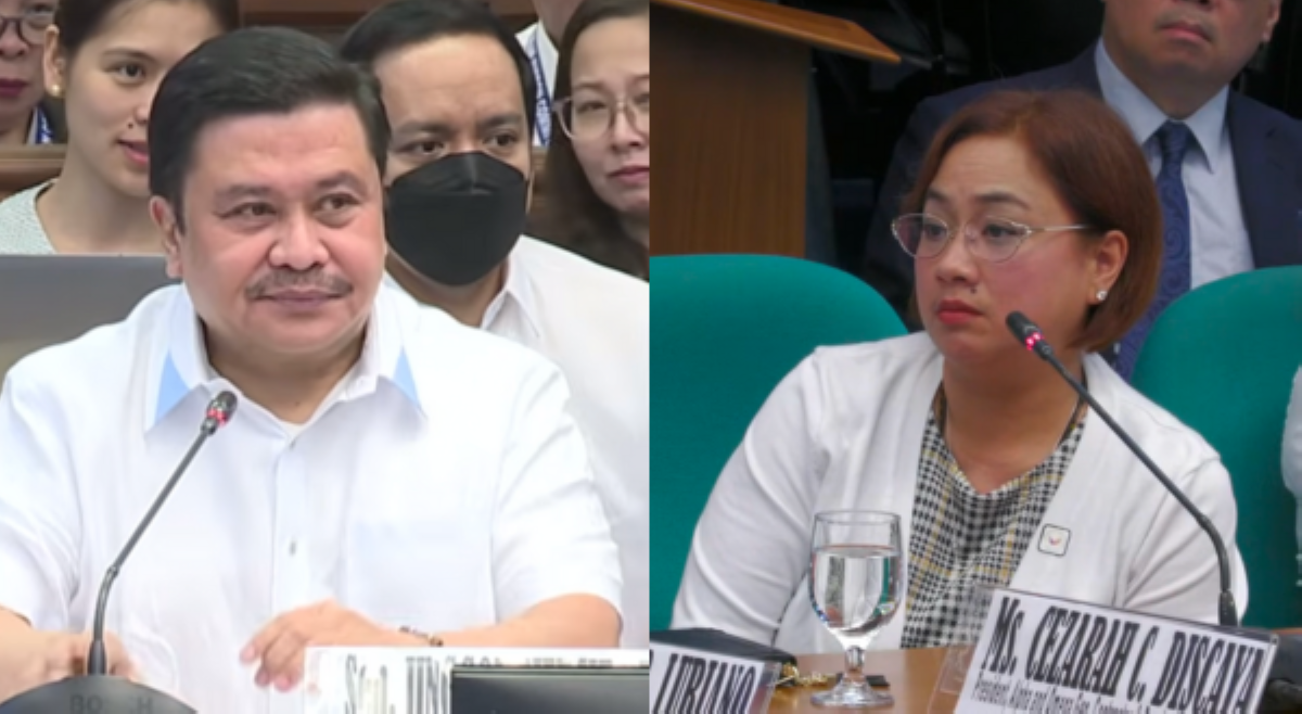Estrada kay Discaya tungkol sa 28 luxury cars: 'You bought that from the taxpayers' money?'