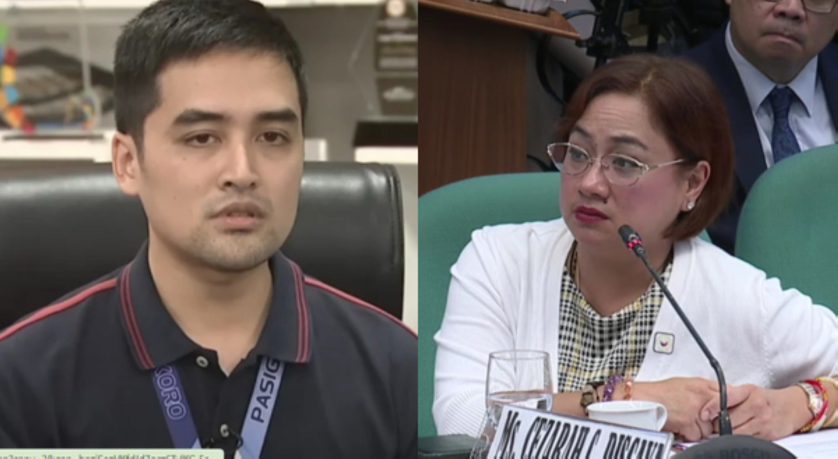 Vico Sotto sa Senate hearing sa mga Discaya: 'Di sila masyadong honest'