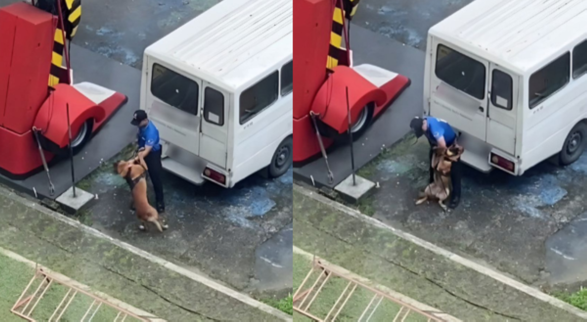 Panununtok, pangmamaltrato ng handler sa isang K9, naaktuhan on cam!