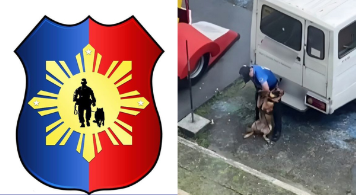 SAS K9, naglabas ng pahayag kaugnay sa pananakit sa canine dog; handler, pansamantalang suspendido