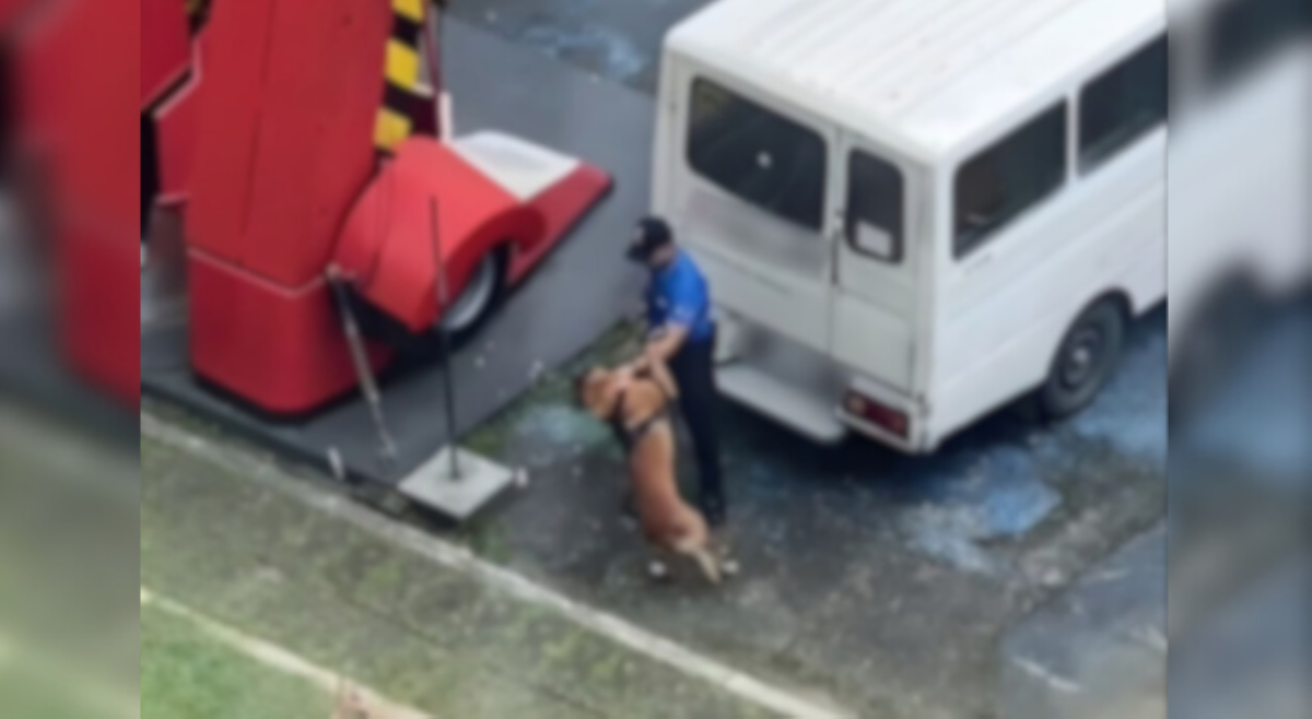 Handler na nanakit sa canine dog, tuluyang sinibak sa trabaho