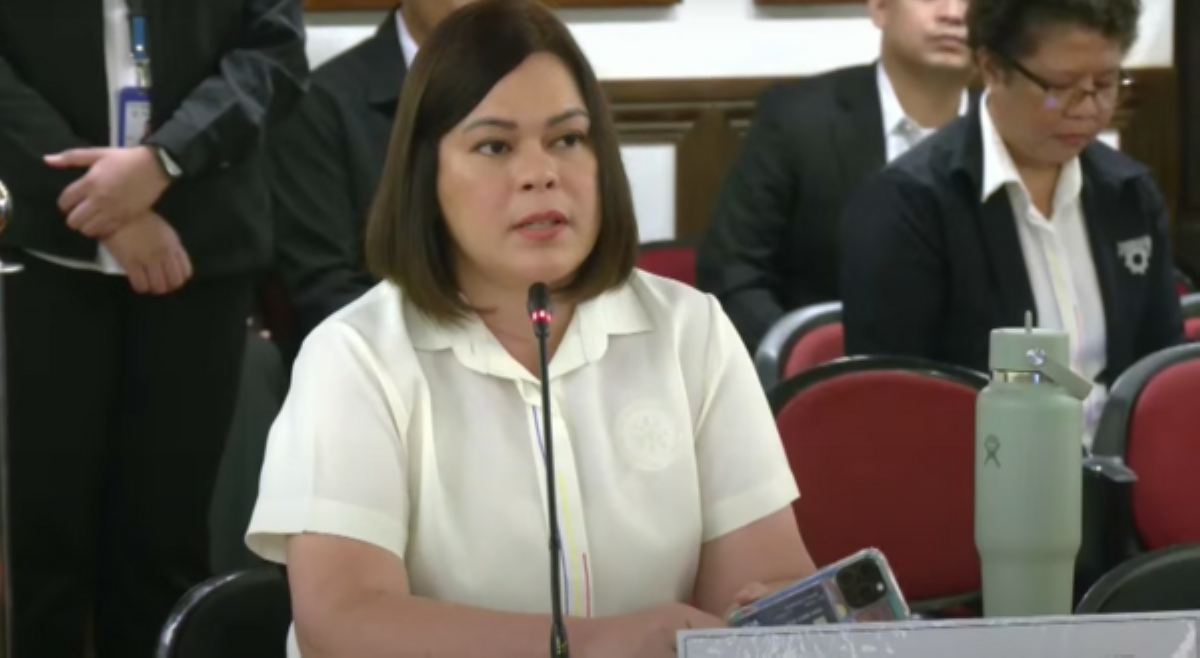 &lsquo;No public funds were used for all my travels&rsquo;&mdash;VP Sara