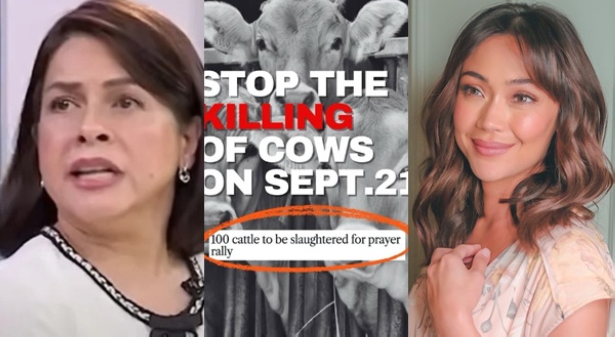 'Mag-isip nga muna kayo bago pumutak!' Rita, ipinaliwanag banat niya tungkol sa 'magnanaCOWS'