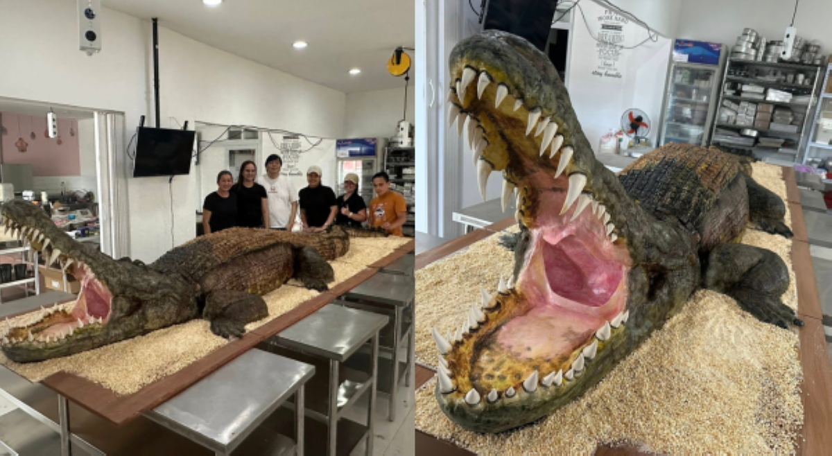 #BalitaExclusives: Kuwento sa likod ng viral realistic 'Kurakot Crocadilus' cake ng Davao City professional bakers