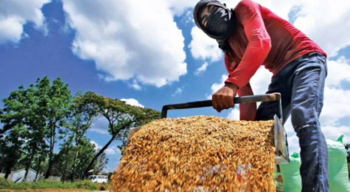Rice import ban, posibleng i-extend hanggang sa katapusan ng taon