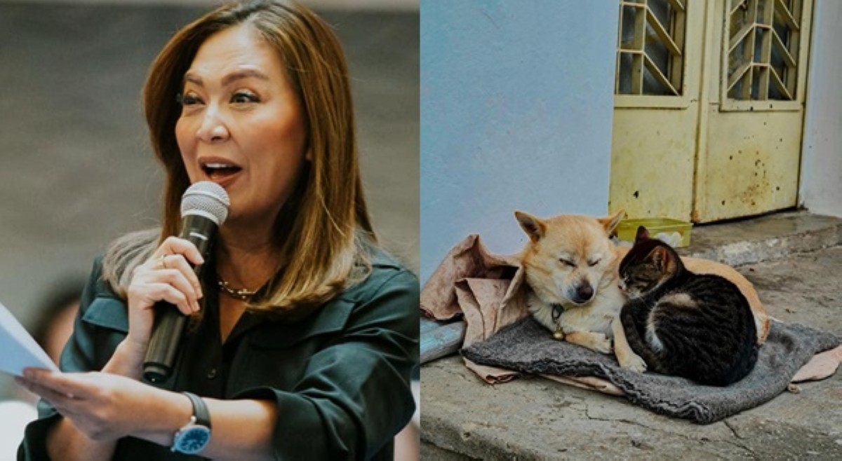 Karen Davila, umapela sa LGU na pondohan pagpapakapon sa mga aso't pusa