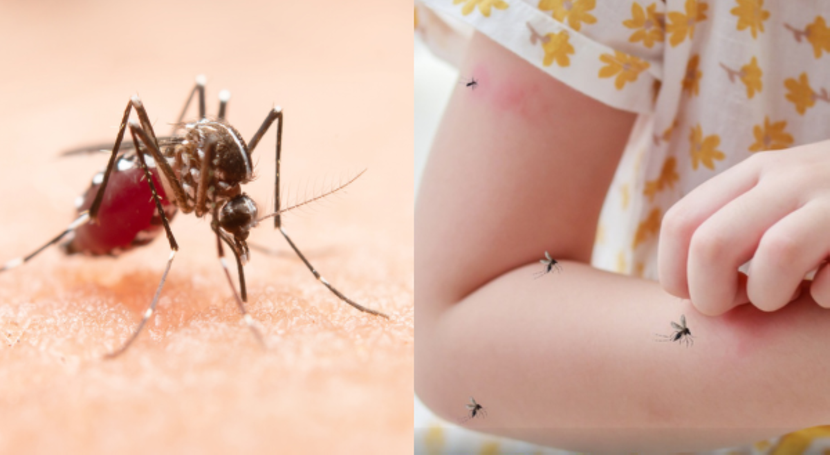 QC LGU, naalarma matapos makapagtala ng karagdagang 993 kaso ng dengue