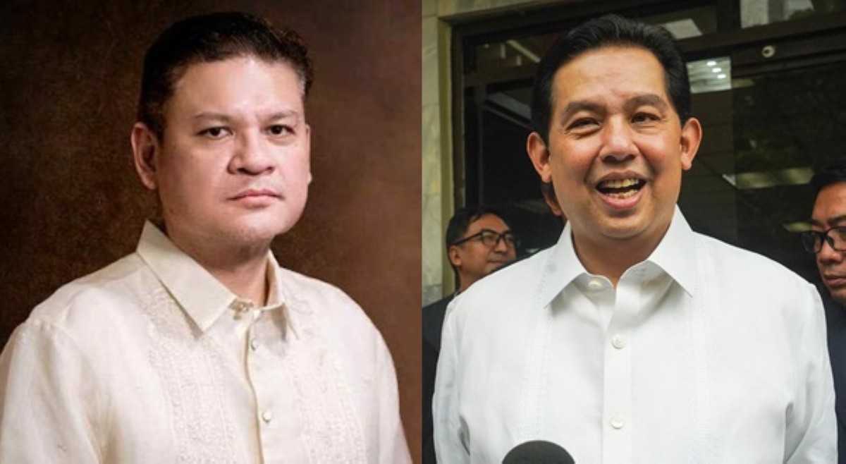 Posibleng state witness status ni Romualdez, parang buwaya kontra buwaya&mdash;Pulong