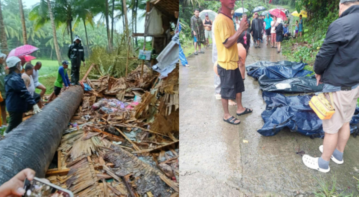Mag-anak, 'dead on the spot' sa pagbagsak ng puno