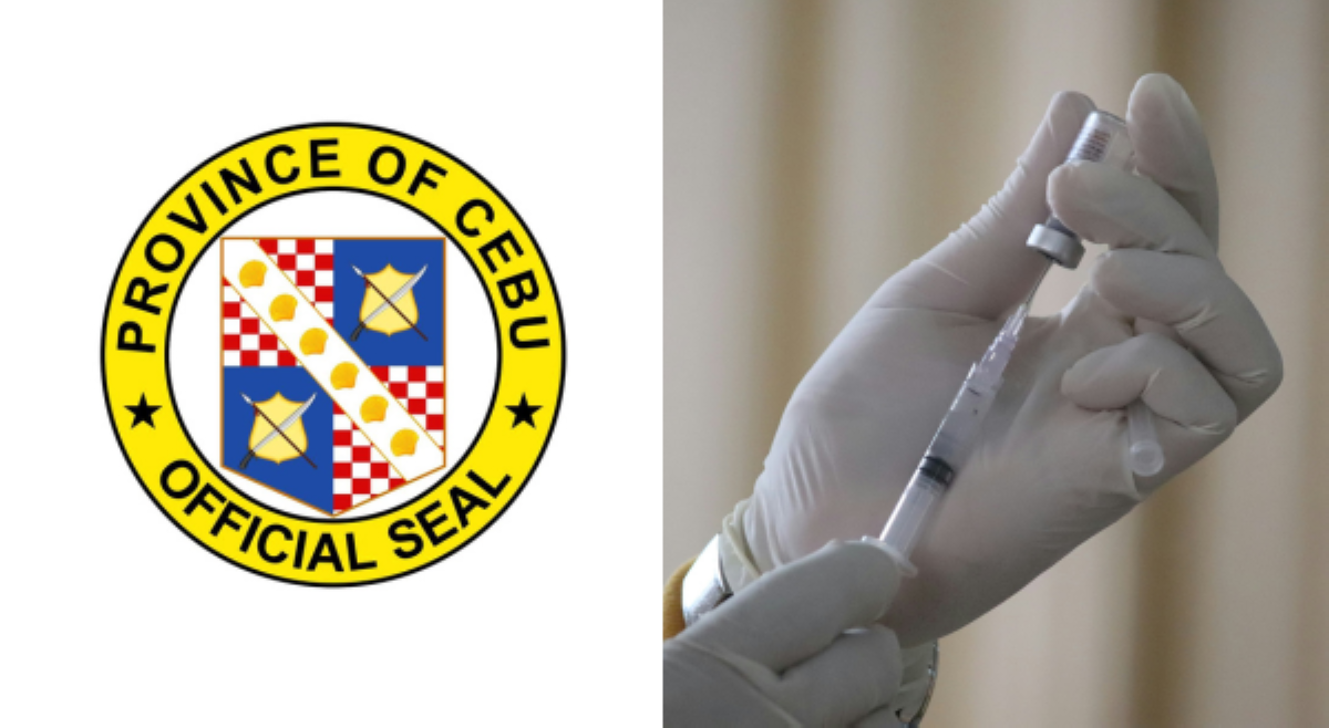 Para sa 'public health response and readiness': Cebu Province, target bumili anti-venom, flu vaccines, atbp