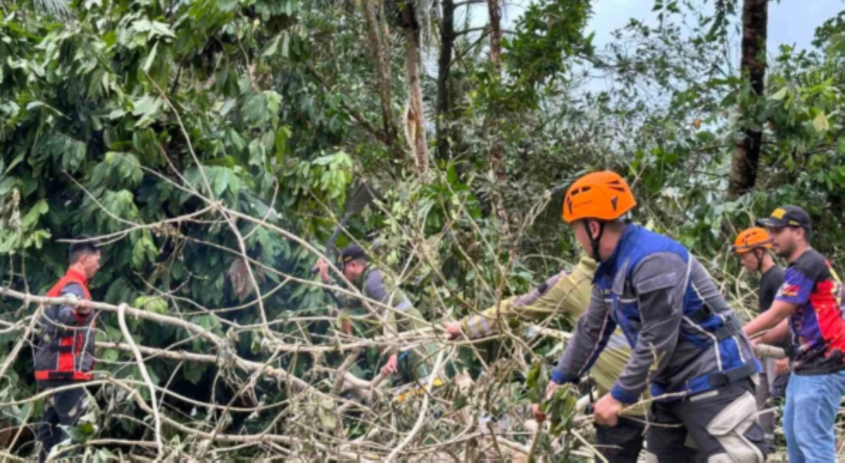 52-anyos na barangay tanod, patay nang mabagsakan ng puno ng niyog!