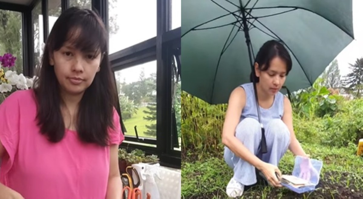 'This is my face!' Neri sumagot sa okray na haggard, tumanda hitsura niya