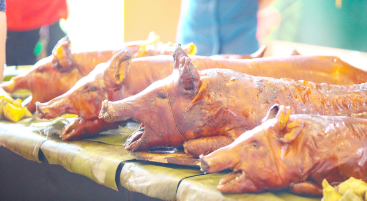 Mga lechon sa La Loma, ASF-free na!