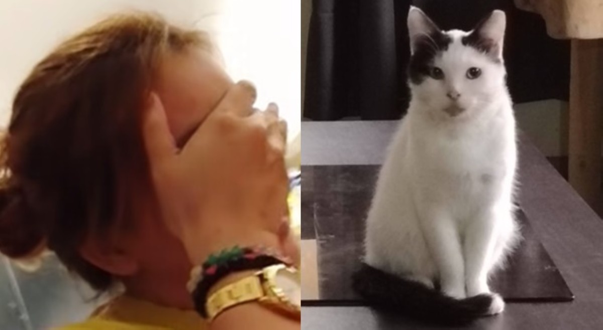 Alagang pusa, nategi dahil sa maling pagkakaunawa sa &lsquo;pampatulog&rsquo;