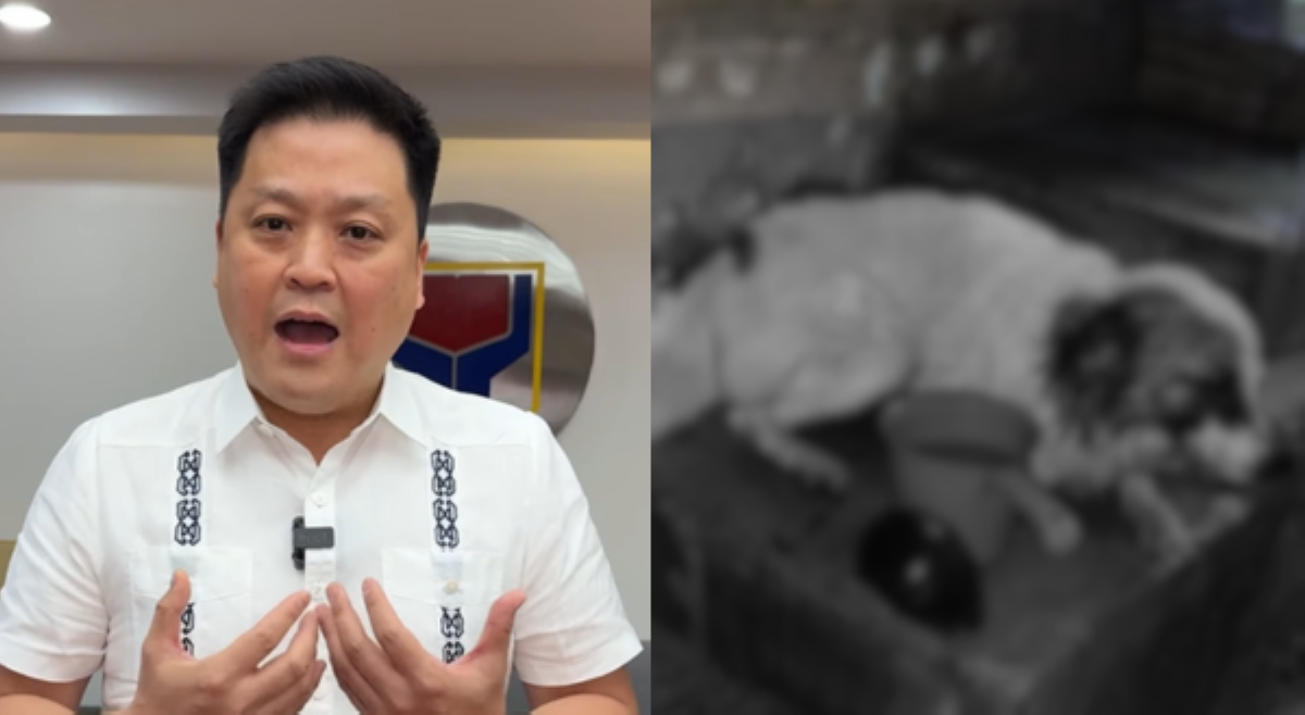 DSWD Sec. Gatchalian, may alok na ₱100K pabuya sa makakapagturo ng salarin sa asong pinutulan ng dila