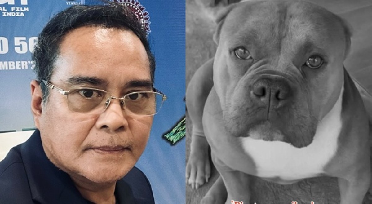 'Parang mga barbaro, taong yungib pa rin mag-isip!' John Arcilla, gigil sa mga bayolente sa aso
