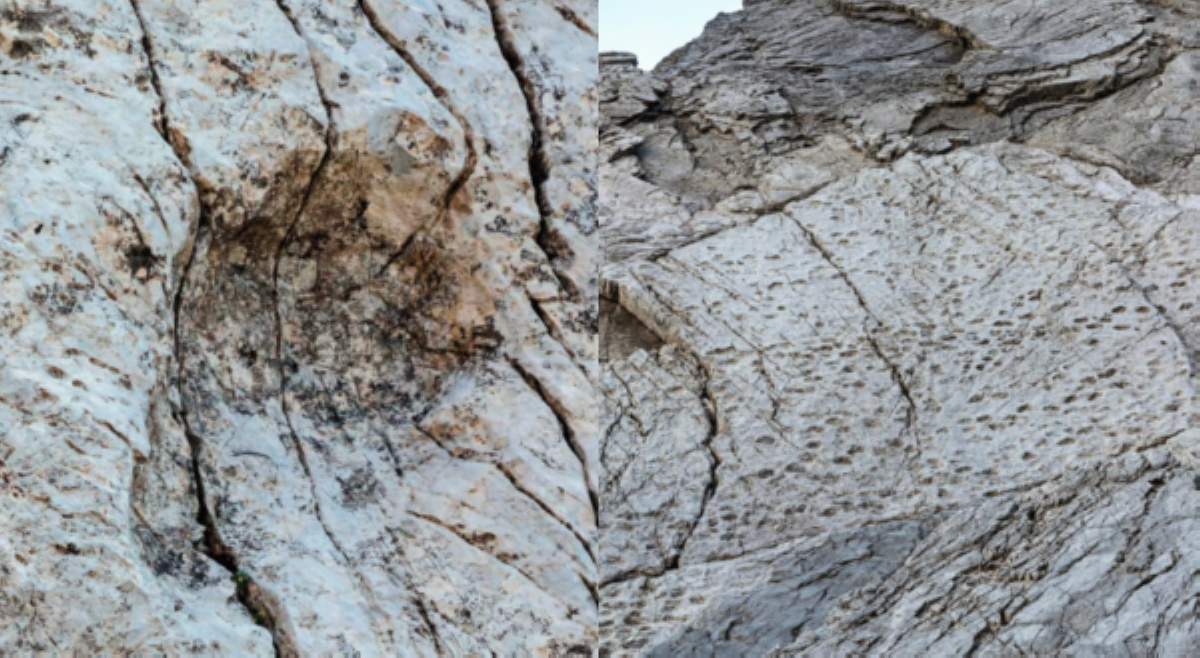 Isang maniniyot, nakunan ang mga dinosaur footprint sa Italy