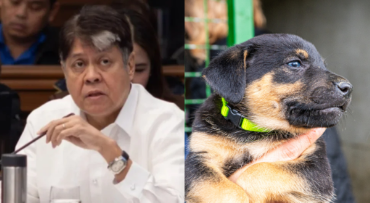'Animal Welfare Program' may ₱10M na pondo sa 2026&mdash;Sen. Kiko