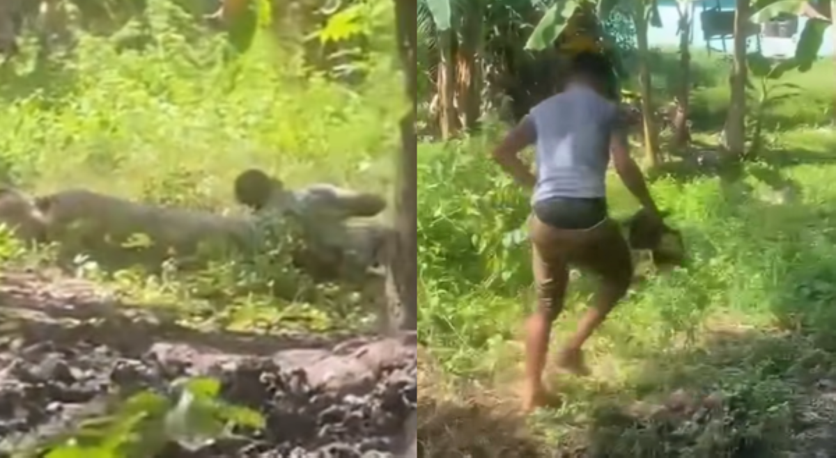 'Nag-astang baboy?&rsquo; Lalaki nahulicam na umiiskor, bumebembang sa baboy
