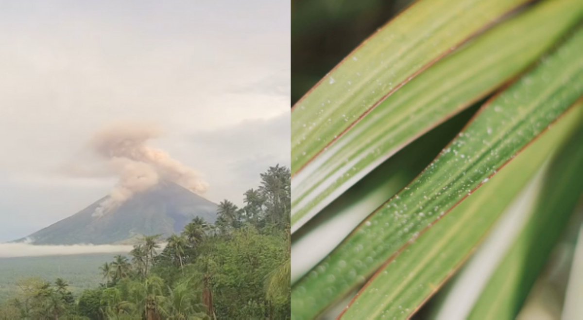 Ashfall, namataan sa iba&rsquo;t ibang parte ng Albay; mga residente, inaabisong mag-face mask