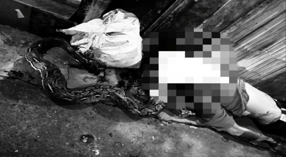 Nasakal! Lalaki sa Iloilo, patay sa lingkis ng sawa