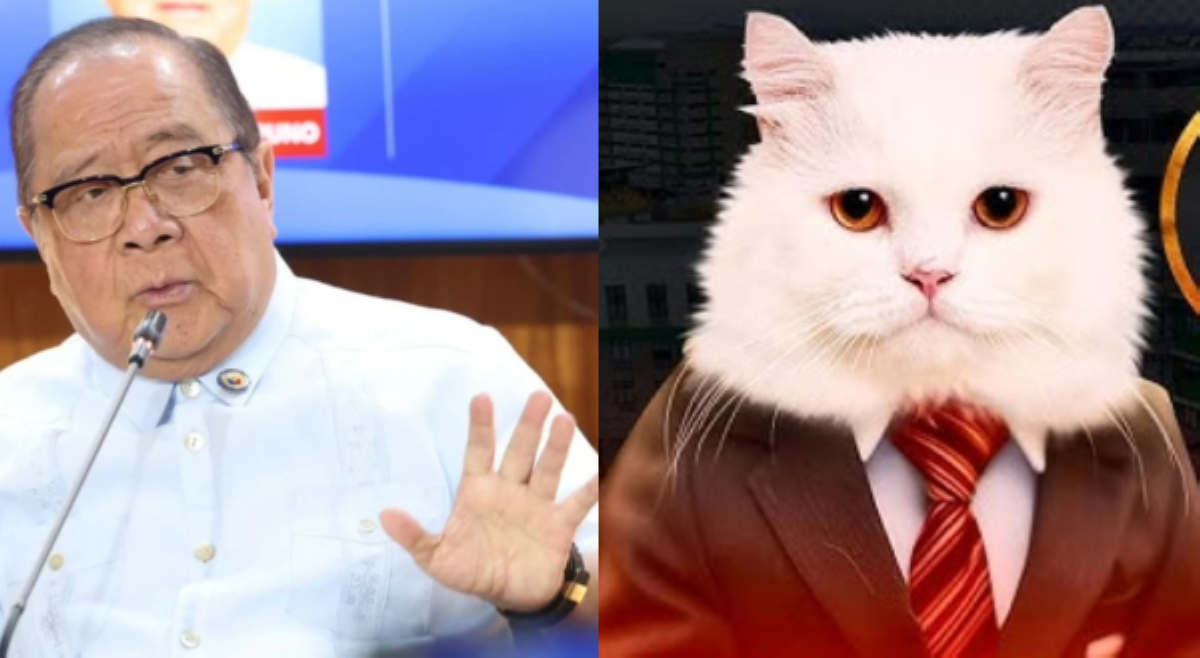 'I-expel na rin!' Congressmeow, nakaambang tuluyang ma-elbow sa Kamara