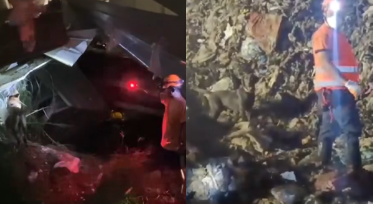 Coast Guard working dog, sinaluduhan sa paghanap sa isa sa mga katawan sa Binaliw landslide