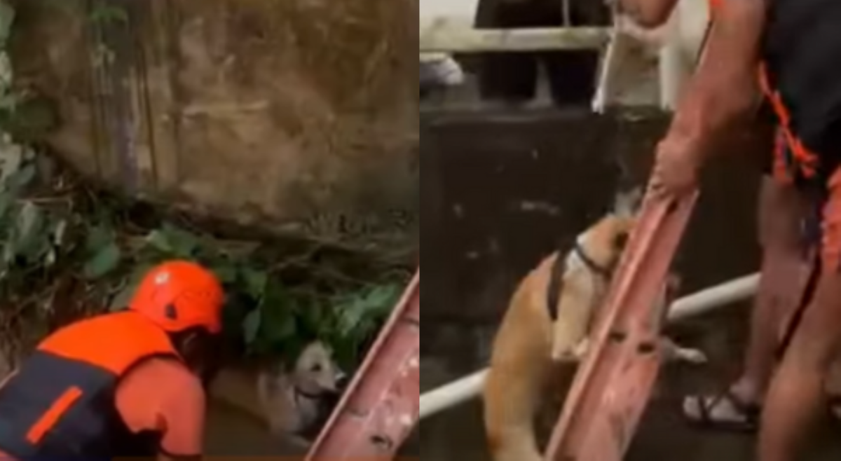 Aspin, nailigtas mula sa baha bunsod ng bagyong &lsquo;Ada&rsquo;