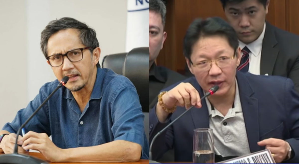 'Sila pa raw nanakawan, medyo makapal talaga mukha ni Curlee Discaya!'&mdash;Sec. Vince Dizon