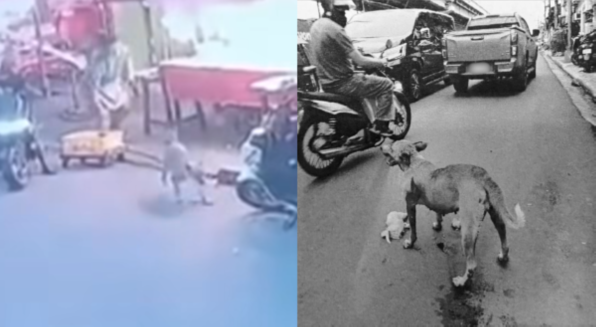 Aspin, patay sa taga matapos magtangay ng panindang karne