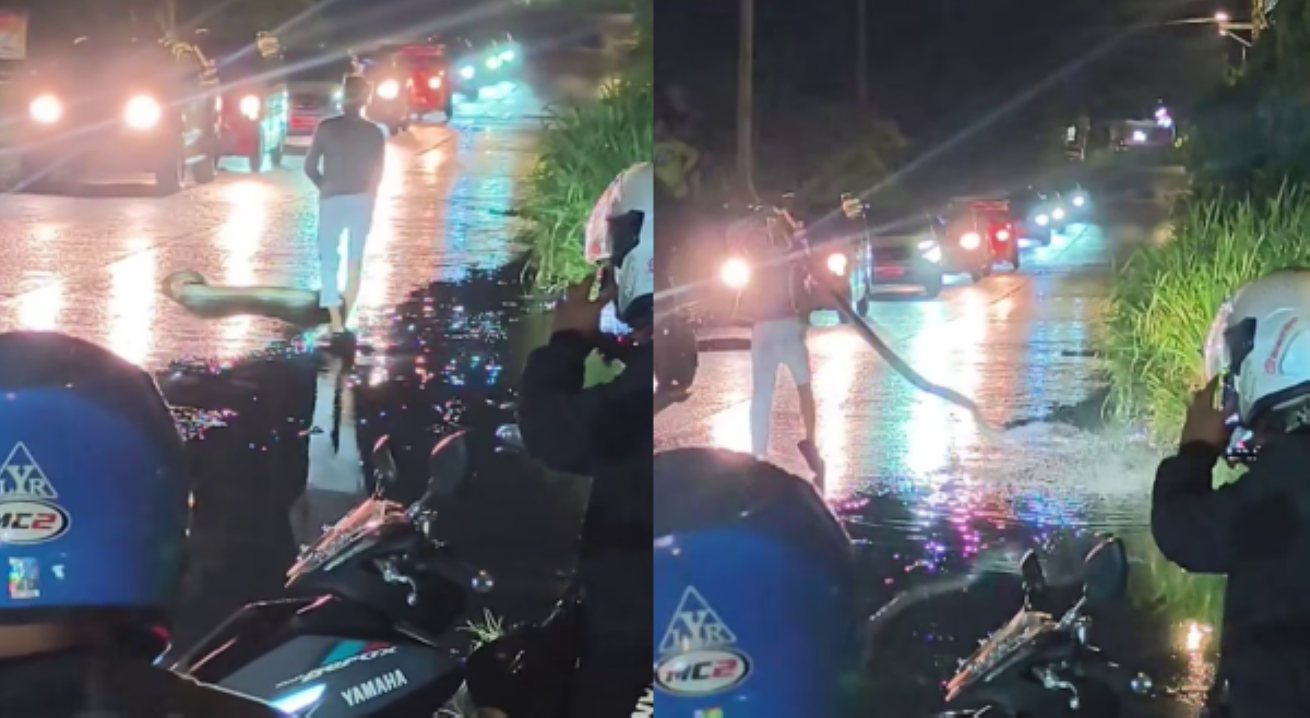 PETA, umalma sa viral video ng sawa na ibinalibag sa daan sa Davao City