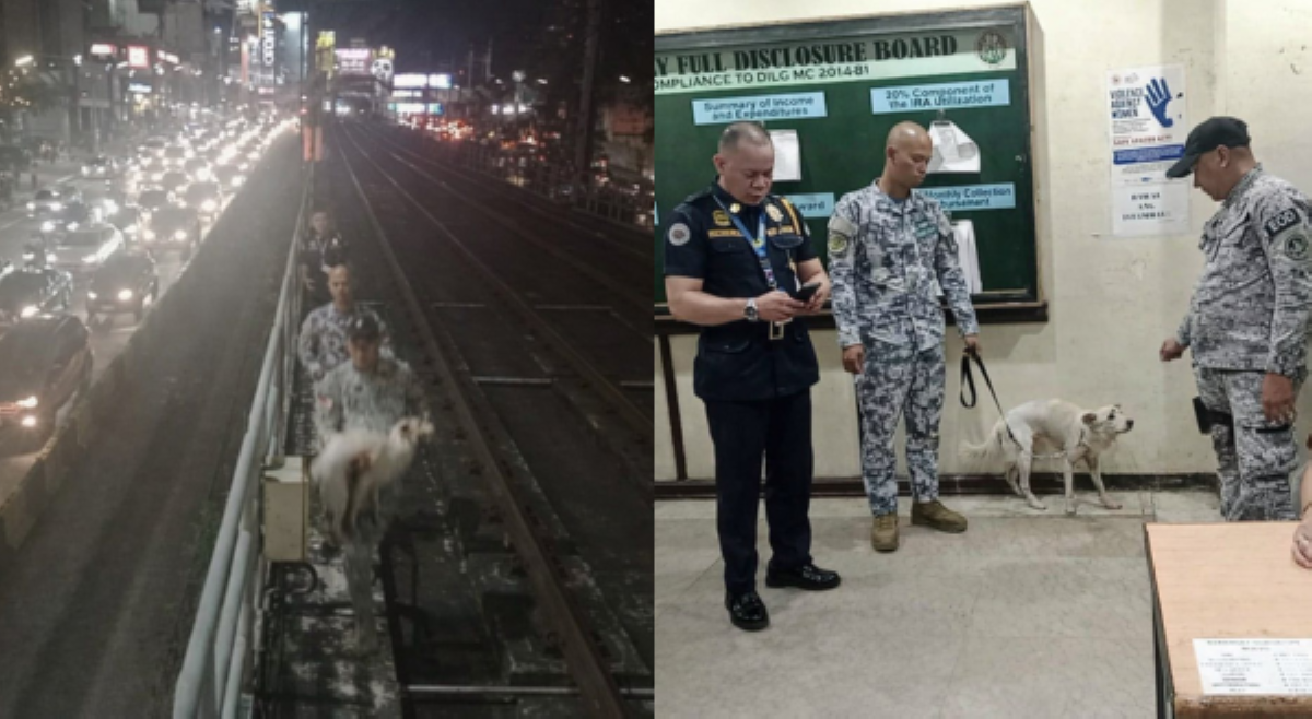 Aso, nasagip matapos tumalon sa riles ng MRT-3 station