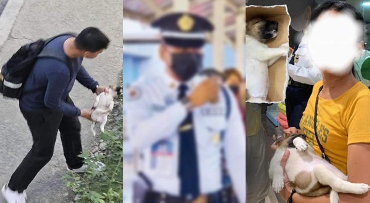 Kinasuhang sekyu dahil sa paghagis ng tuta sa footbridge, hinatulang guilty!