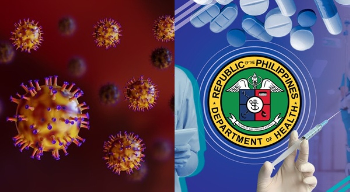 Don't worry! Pilipinas, handa sa Nipah virus&mdash;DOH