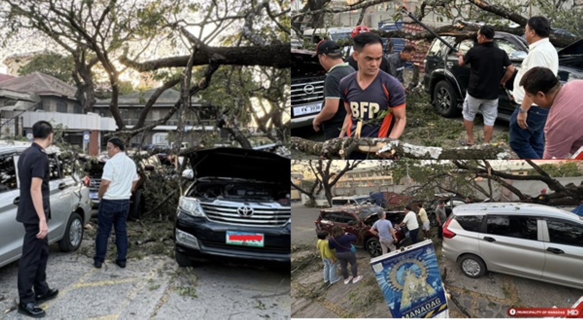 Mga sasakyang ipababasbas sana sa Manaoag, nabagsakan ng puno; anyare?