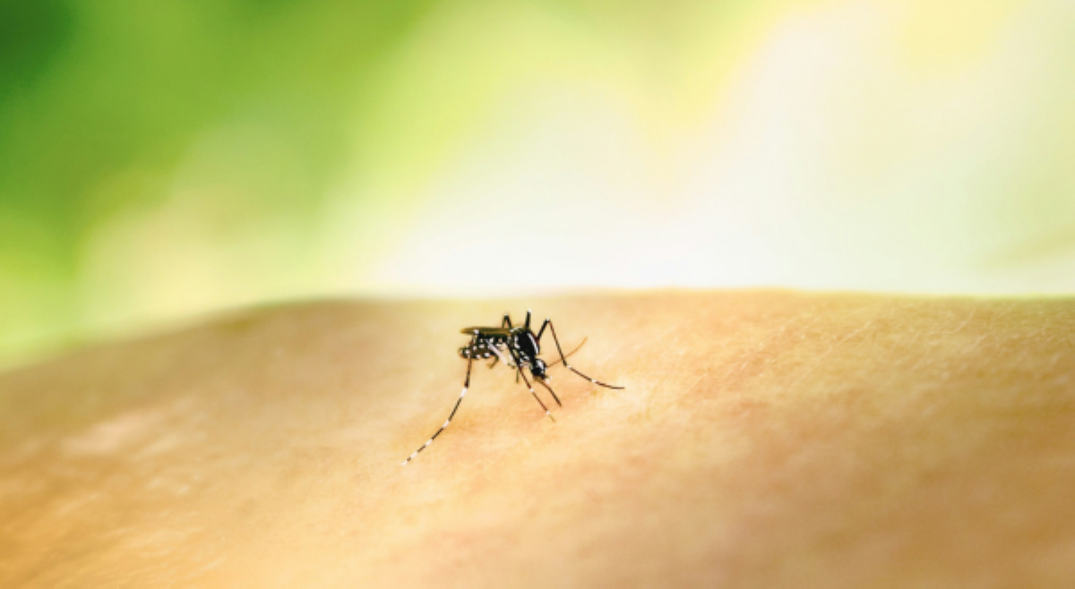 Kaso ng dengue sa pagpasok ng 2026, naitalang nasa higit 7k