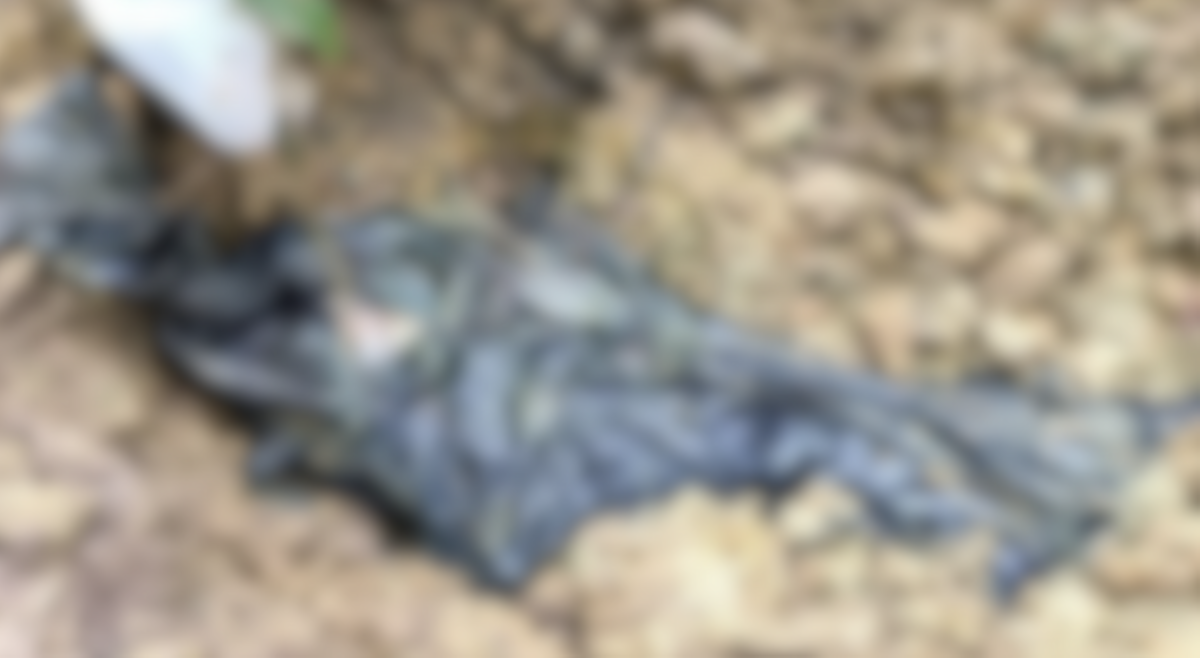 Bangkay ng hinihinalang NPA, nadiskubre ng militar kasama ng iba pang mga armas