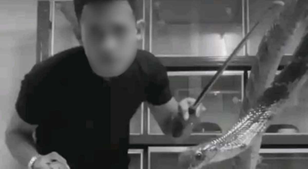 Veterinary student na binansagang 'Cobra King,' patay sa tuklaw ng ahas!