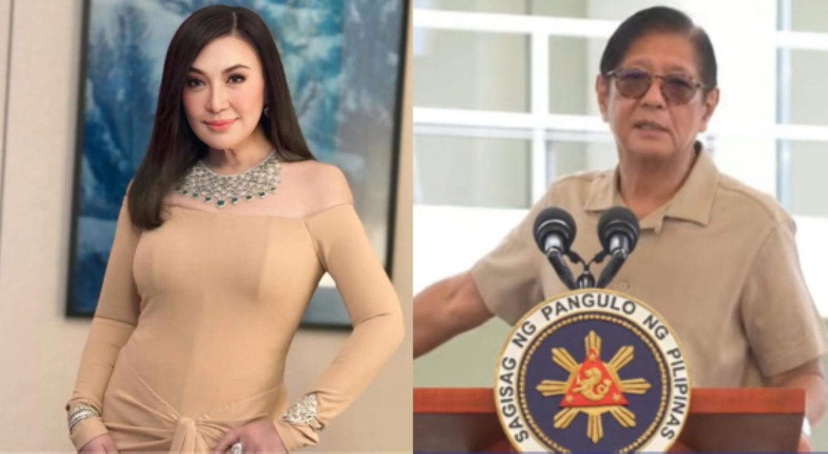 'Let the President do his job' kuda ni Sharon, umani ng reaksiyon