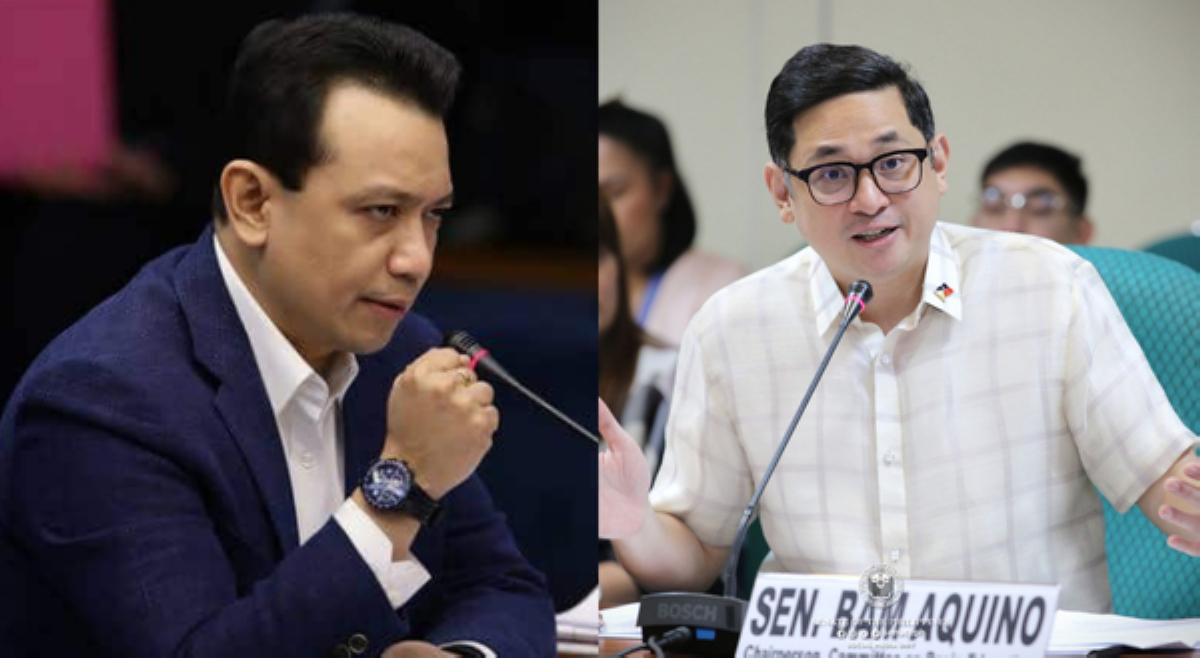 'Papogi lang sa mga DDS!' Trillanes, binweltahan si Sen. Bam