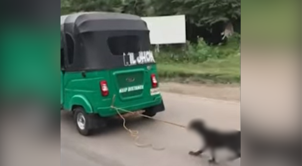 Aso, naispatang nakatali sa umaandar na e-tricycle!