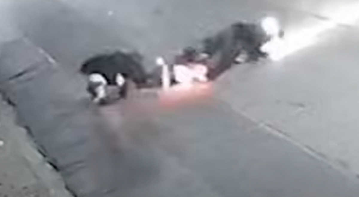 Asong pakawala sa gabi kontra magnanakaw, nasalpok ng motorsiklo