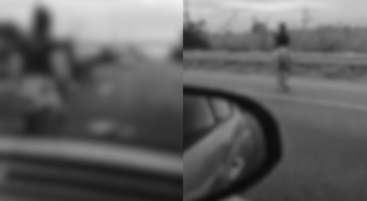 Driver na huminto sa NLEX para magpulot ng asong nabangga, buminggo sa LTO!