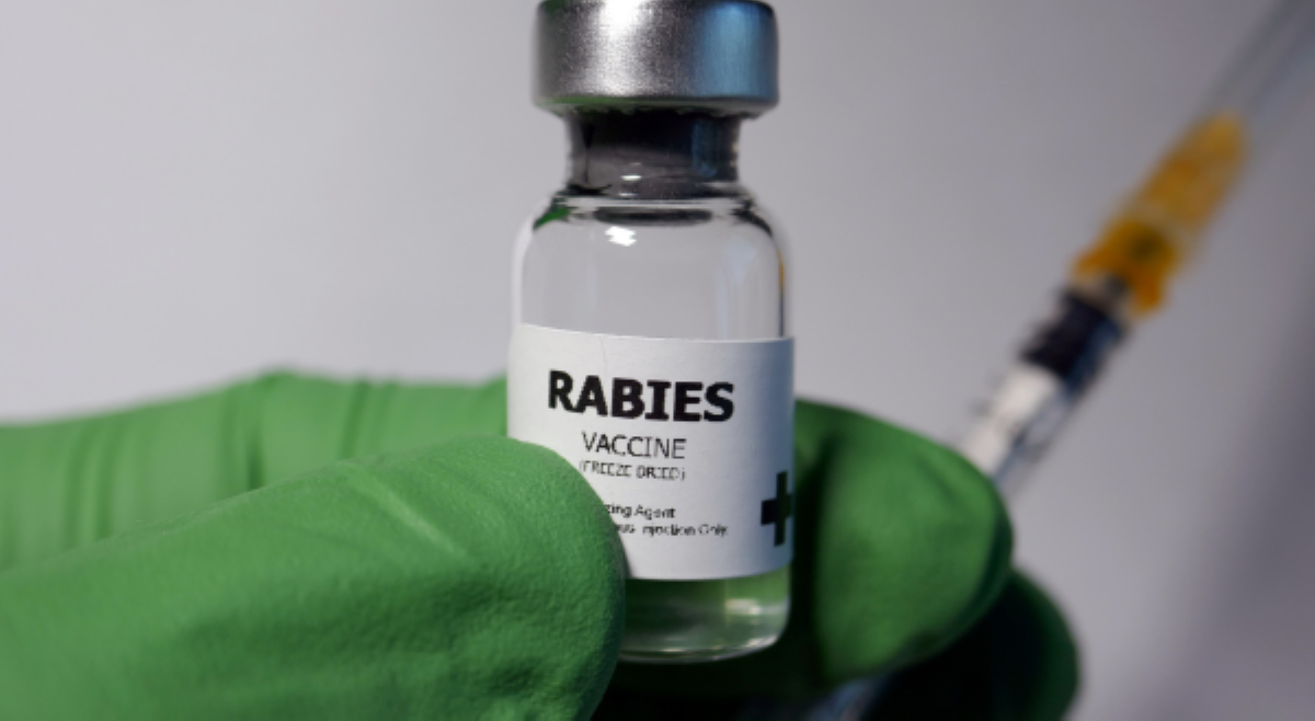 DOH, nagbabala sa posibleng pagsipa ng kaso ng rabies sa panahon ng tag-init