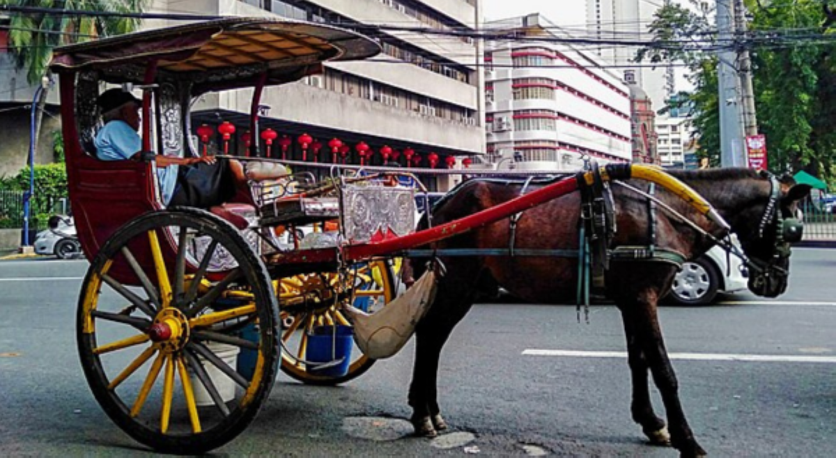 #BALITAnaw: Kalesa, karwahe bilang makalumang transportasyon sa Pilipinas