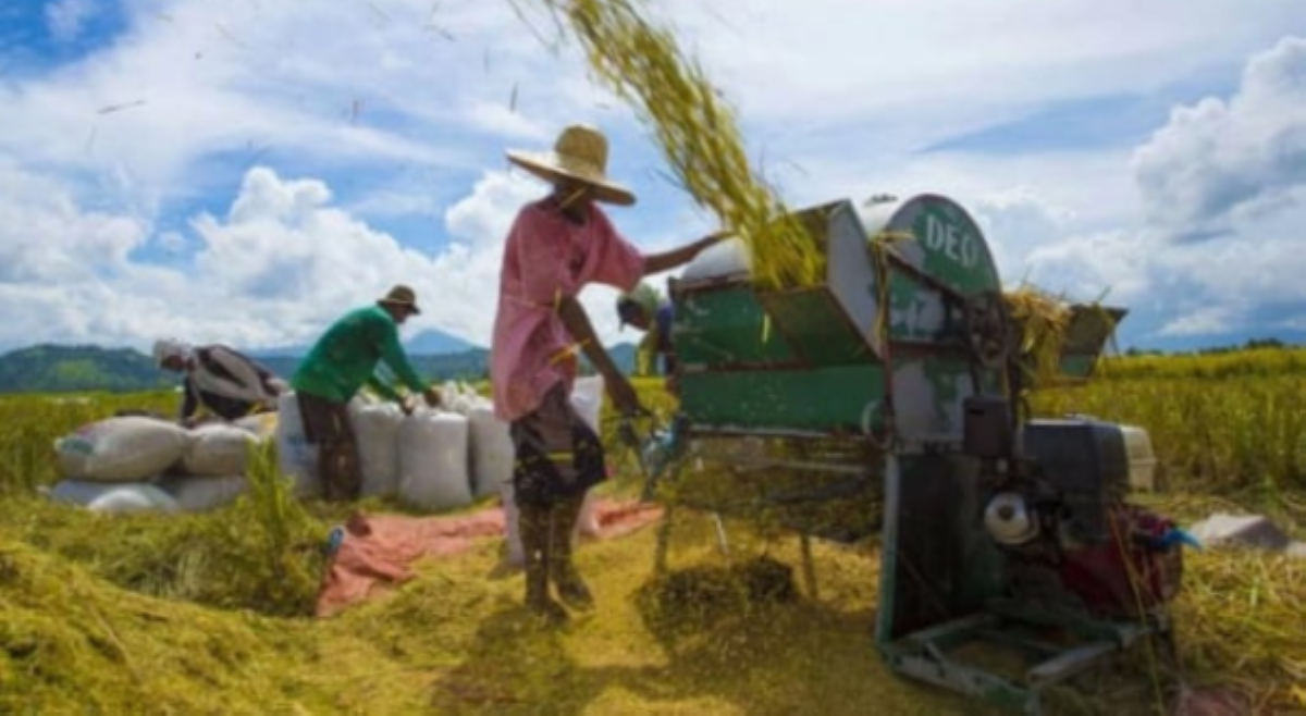 Tatanggap din! ₱5k fuel subsidy, ipamamahagi sa higit 9k magsasaka&mdash;DA