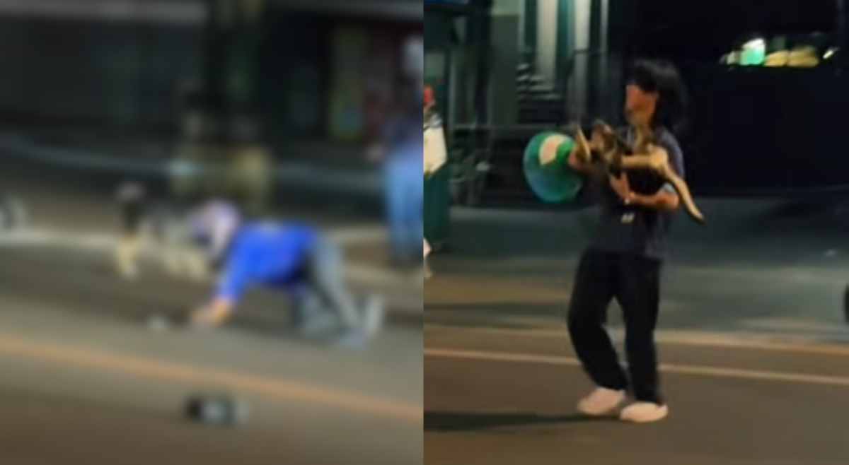 Viral na asong ni-rescue matapos mabangga ng motorsiklo, &lsquo;di kinaya tinamong pinsala
