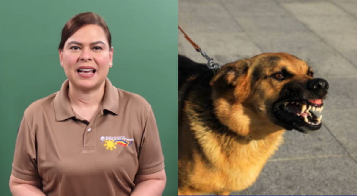 VP Sara sa Nat'l Rabies Awareness Month: 'Ang rabies ay isang malubhang banta sa kalusugan!'